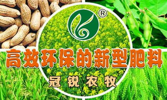 高效环保的新型肥料