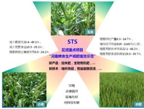 合肥研究院控失化肥减肥增效机制研究取得进展