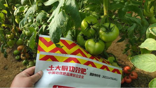 微生物菌肥生产厂家,谨慎选择