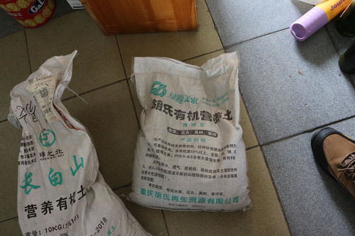 花卉栽培的完美搭配 肥料、土壤与花盆选购指南及新型肥料增效剂解析