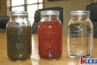 美国农场主创新工艺处理奶牛粪便 实现降本增效