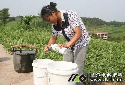 农药与水溶肥混用效果及新型肥料增效剂应用指南