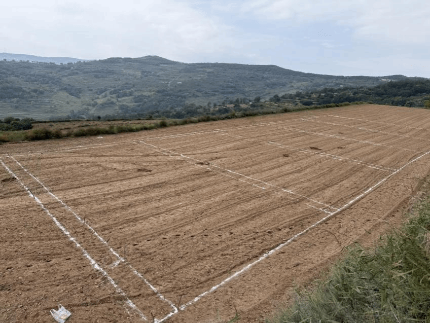 小麦化肥利用率田间试验 探索新型肥料增效剂的创新应用